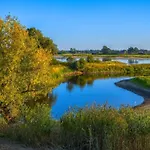 Daire Family-friendly In The Oderbruch Genschmar