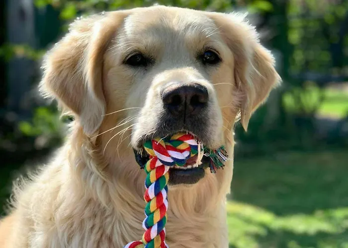 Family-friendly In The Oderbruch