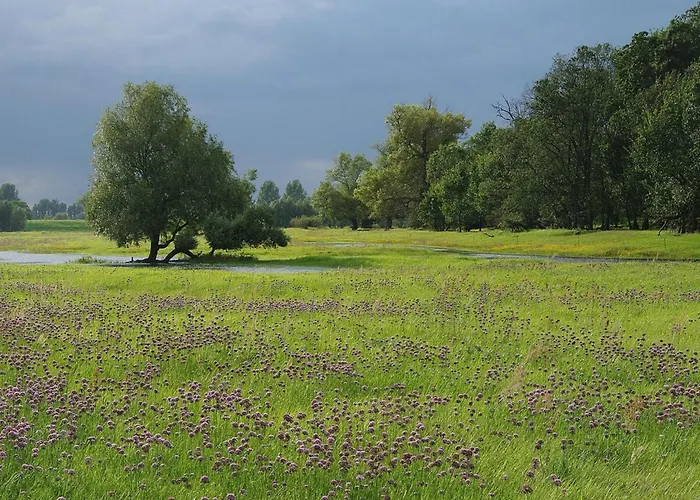 Family-friendly In The Oderbruch 아파트 Genschmar