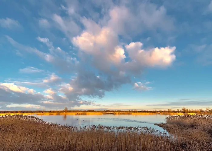 Family-friendly In The Oderbruch